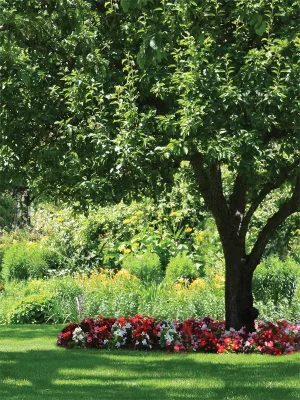 Begonia Park Printed Photography Backdrop