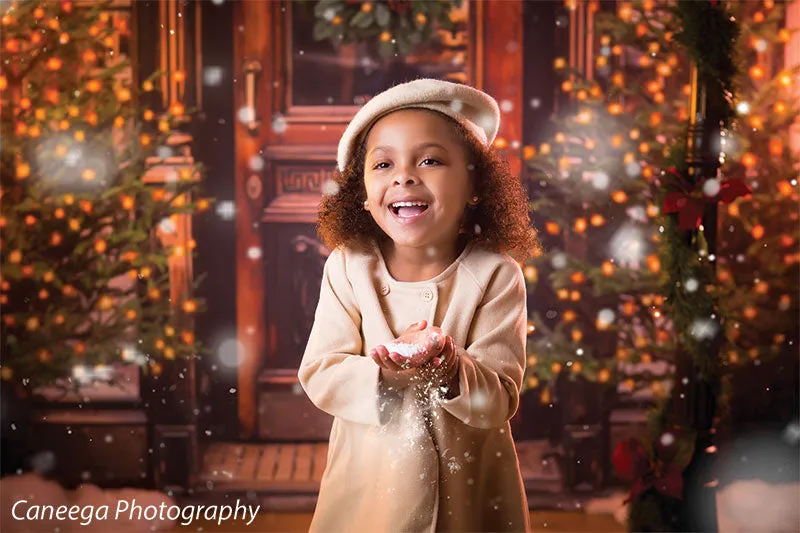 Christmas Market Printed Photo Backdrop