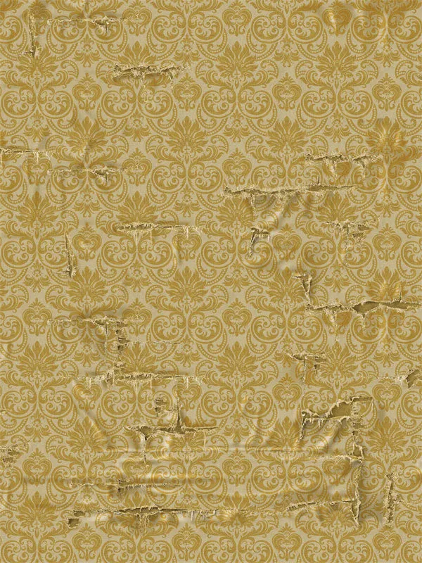 Estella Yellow Damask Distressed Vintage Photography Backdrop