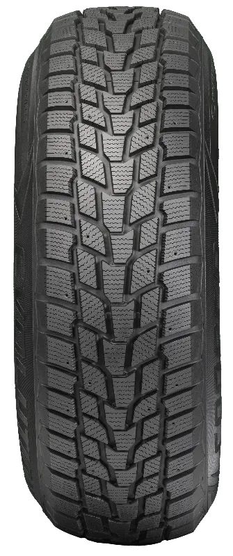 Evolution Winter - 205/55R16 94H XL