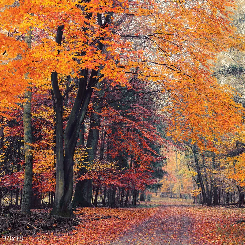 Fall Tree Backdrop