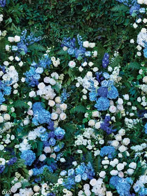 Hydrangea Wall Background