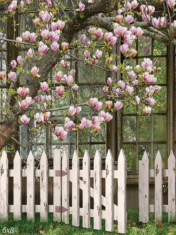 Japanese Magnolia Backdrop