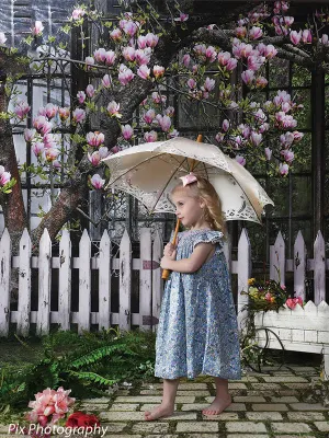 Japanese Magnolia Backdrop