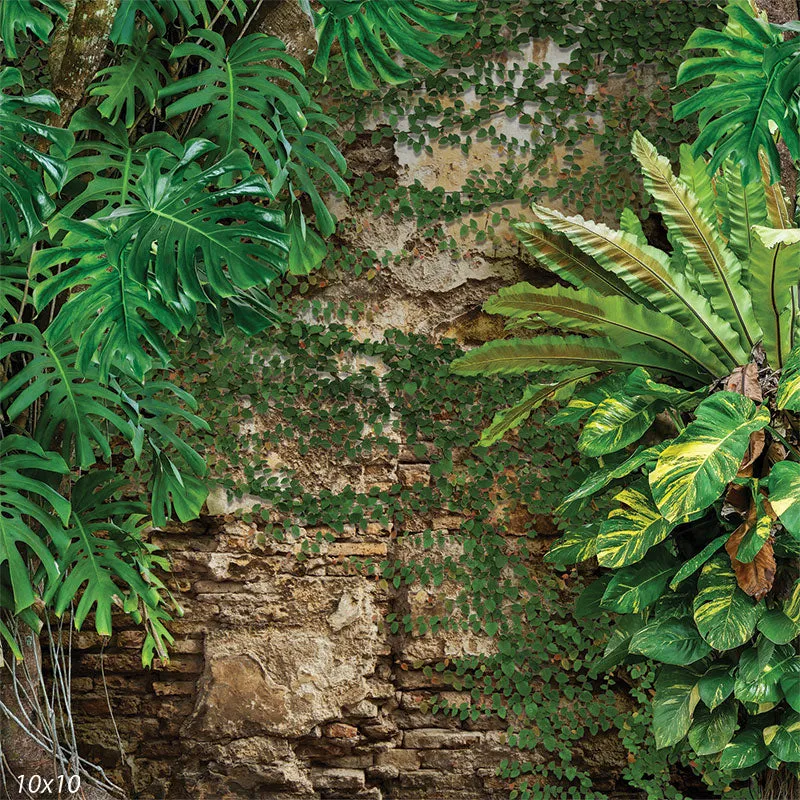 Jungle Rocks Backdrop