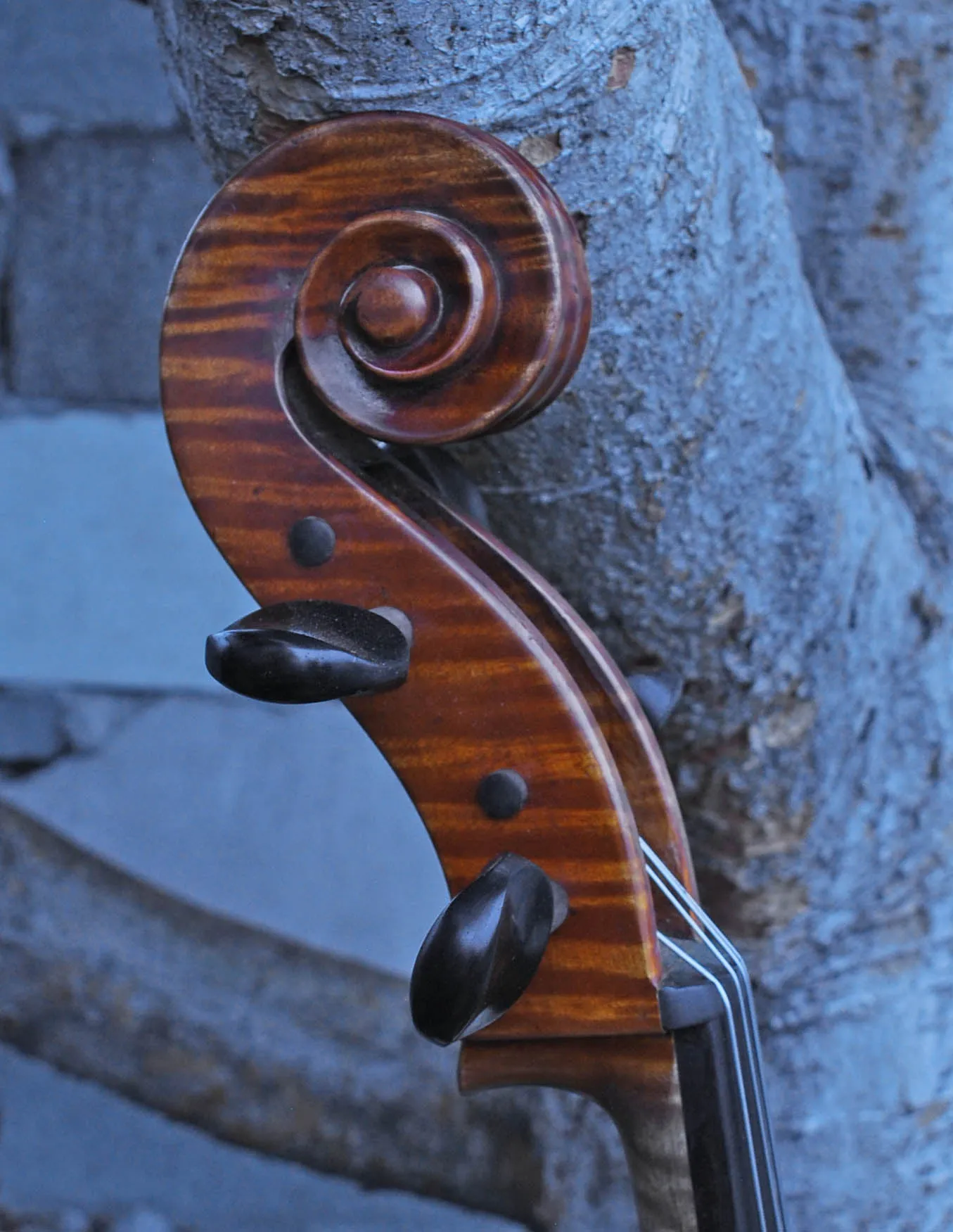 Vivo Zetoni model 100 4/4 Cello Used