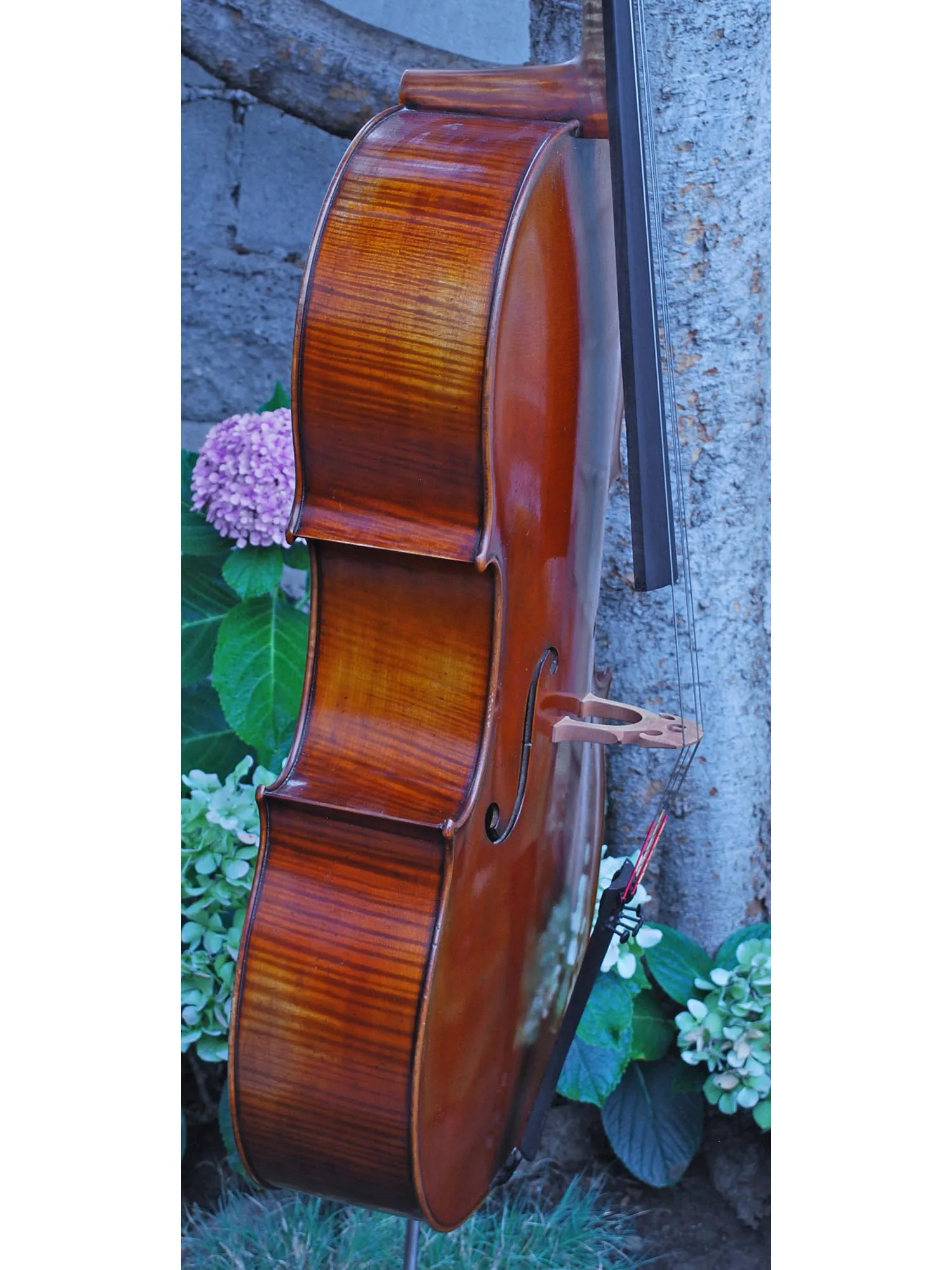 Vivo Zetoni model 100 4/4 Cello Used