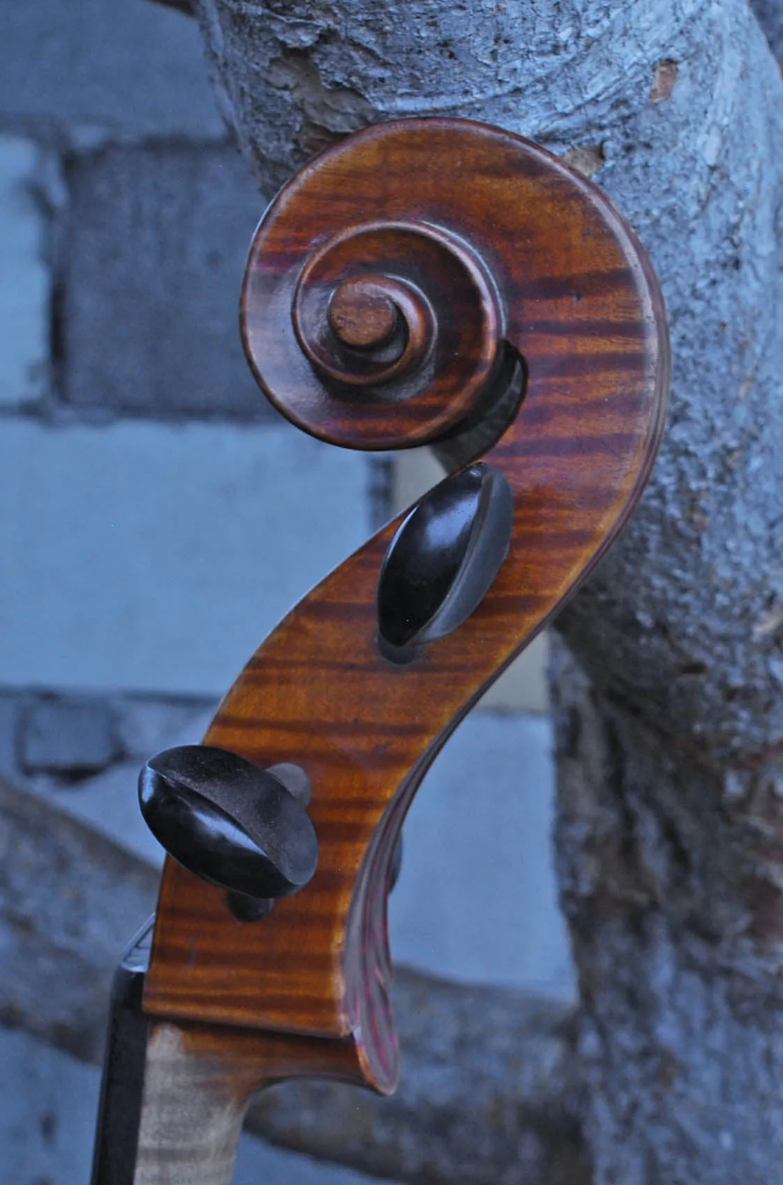 Vivo Zetoni model 100 4/4 Cello Used